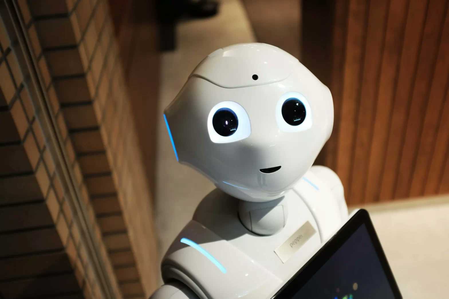 Robots.txt — Jak przejąć kontrolę nad robotami wyszukiwarek?